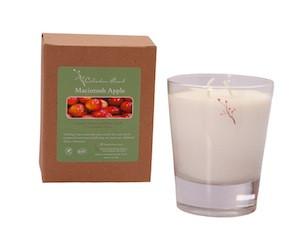 Macintosh Apple- Celadon Road- www.celadonroad.com