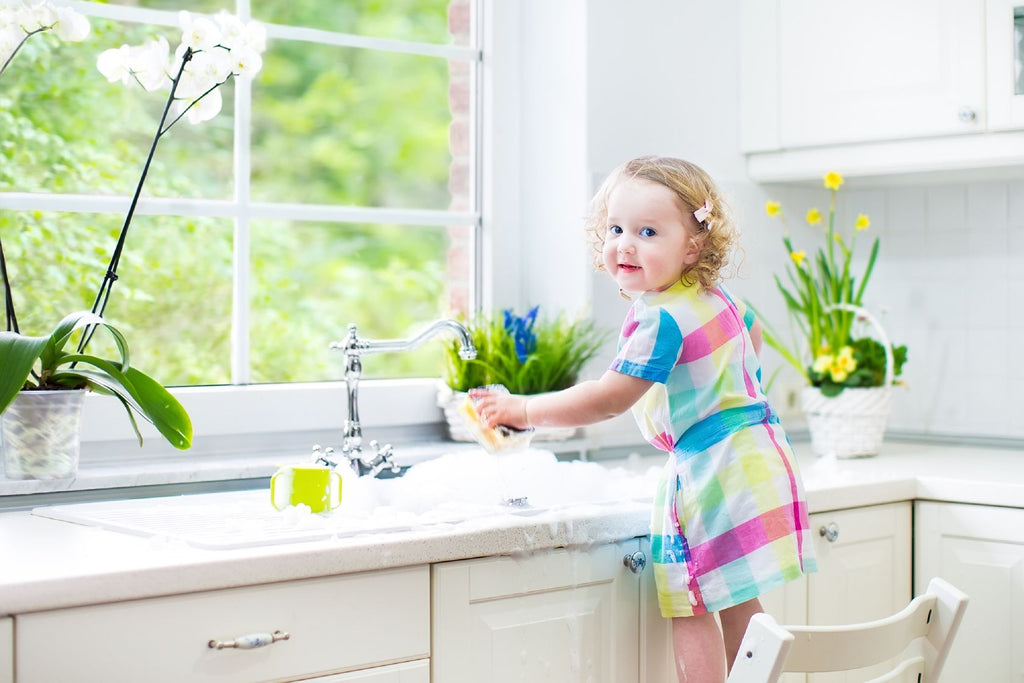 Organic Cleaning Products - A Better Choice for You and Your Family